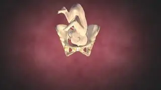 Top View Cardinal Movements