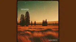Sequoia