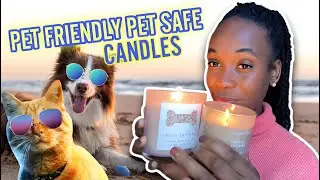 Best Pet-Friendly Scented Candles | Safest Candles for Indoor Pets | Odor Neutralizer Candle |