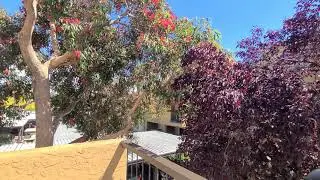 Foster's Landing | Plan E | 1 Bedroom 1 Bathroom w/ Den (Apt #1803) at Foster City CA 94404