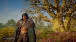 Assassin's Creed Valhalla | The Mysterious Berserker Full Quest