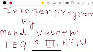 integer Programming Problem