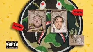 22Vizz & Promoting Sounds - Blue Cheese (Official Video) ft. AyyLeek
