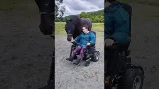 Marie Anne et Galopin, travail au sol 23 05 2024