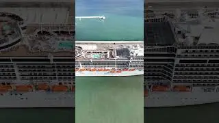 #msc #mscfantasia