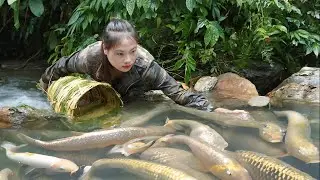Catching Stream Fish in the Deep Forest | Building a Shelter for Guinea Fowl | Wild Survival