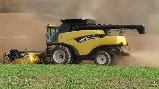 Combining Our Soybeans with a New Holland CR 960 - 2024