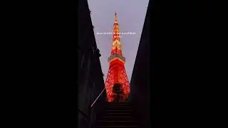 Top 10 most beautiful places to visit in Tokyo[4k]