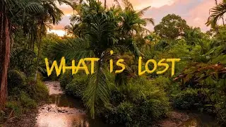 What Is Lost | Eco-Travelers Series - Chapter 3 | Blue Banana Studios
