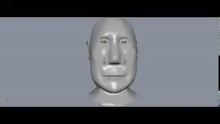 Facial Animation Demo