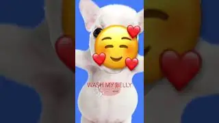 WASH MAH BELLAY