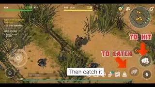 Forlorn Fair: Turkey-Catching Task - Last Day on Earth Game