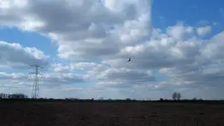 Valk Storm wordt een loer gedraaid 10-4-2010.MOV