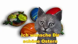 🐰💓 Ein Video nur f&uuml;r Dich 🐰💓 Frohe Ostern w&uuml;nsche ich - Osterhase Osterfest Ostereier Osterfest 🐰💓