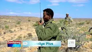 Wararkii ugu danbeeyay Puntland oo sheegtay in dagaallo culus oo ay maanta la gashay Kooxda Daacish