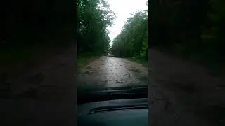последствие  дождя 22,07,2018 4 дерева на дороге, благо без жертв