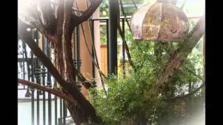 Granada sin ir m&aacute;s lejos