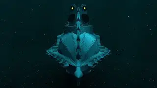 Nautilus Animation Video