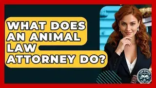 What Does An Animal Law Attorney Do? - Law School Prep Hub