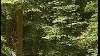 Bouhmama