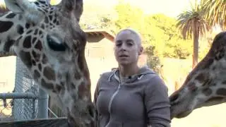 Capturing a Giraffe's Point-Of-View