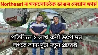 প্রতিদিনে ১ লাখ কৈ কণী উৎপাদন কৰা এখন লেয়াৰ ফাৰ্ম II Northeast's largest layer  farm II Bahuboli