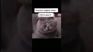Подборка мемов 4ch tik-tok #позитив #тикток #смешноевидео #shorts