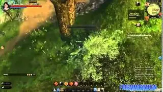 Top 10 Free to Play MMORPG Games 2013