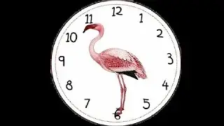 Metrónomo Flamenco: Rumbas - Velocidad 210