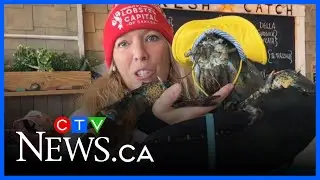 Lucy the lobster says no more winter, an early spring it is