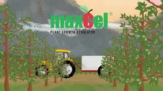 What Sets MaxCel Plant Growth Regulator Apart