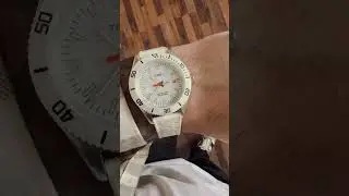 TIMEX SPORTS WHITE (2N533) #watch