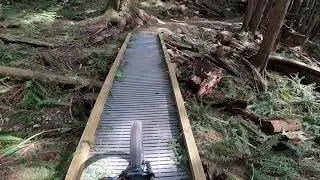 Tiger Mountain April 2021 - Fun Blue Trails
