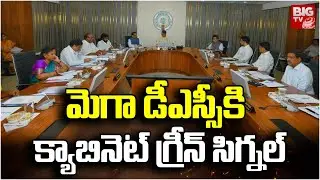 AP Cabinet Green Signal For Mega DSC: మెగా డీఎస్సీకి  క్యాబినెట్ గ్రీన్ సిగ్నల్ | BIG TV Vijayawada
