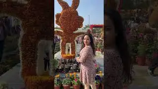 Reel va real🌷 show #noida  #noidaexpore #travel