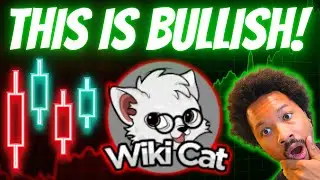 Wiki Cat $WKC Might Be The WILDEST Coin I Have Ever Seen