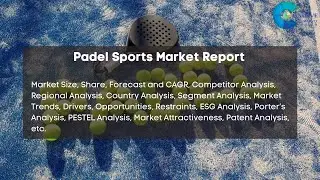 Padel Sports Market Report 2024 | Forecast, Market Size, Growth, Trends