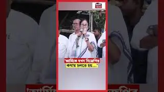 'Army কে যখন BJP র কথায় চলতে হয়...' | Mamata Banerjee | N18S #shorts