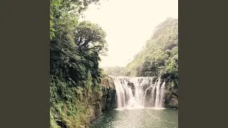 Amazonas