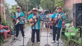Los Jilgueros del Pico Real en vivo - El Gallito de Puebla