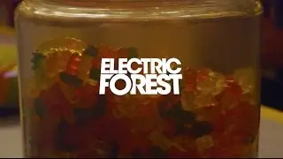 Many things happen in The Hangar - #EF2016 Highlight