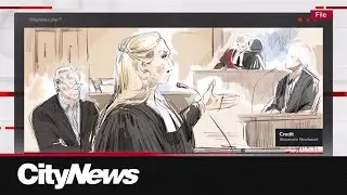 Frank Stronach&rsquo;s defence team calls accuser a &ldquo;storyteller&rdquo; during cross examination in sex assault