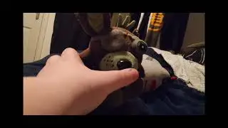 IP short : roxy vs thor