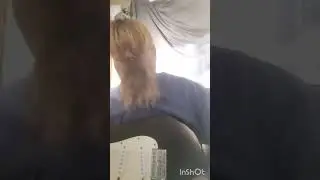 Original Song: 