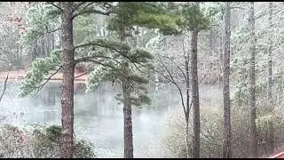 Calming Nature Escape | Peaceful Trees & Flowing Water Scene 🌊🍃
