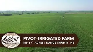 155 +/- Acre Pivot-Irrigated Farm in Nance County, NE
