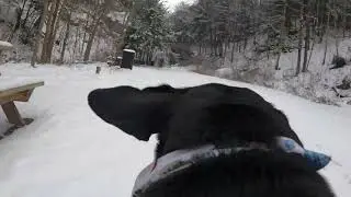Mia's Big Adventure