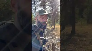 How to read an ELK RUB #tracking #hunting #pursuitwithcliff
