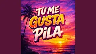 tu me gusta pila
