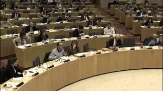 Fabio de Masi TAXE Ausschuss Antoine Deltour
